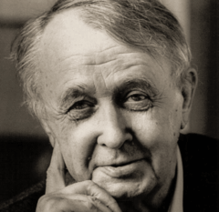 Владимир Костров