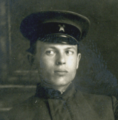 Василиск Гнедов